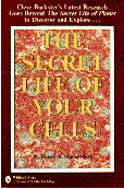 Secret Life of Your Cells by Robert B. Stone, PHD